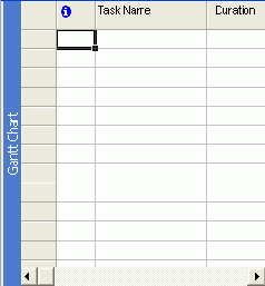   Microsoft Project