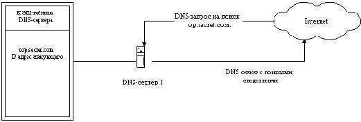 Внедрение в сеть Internet ложного
