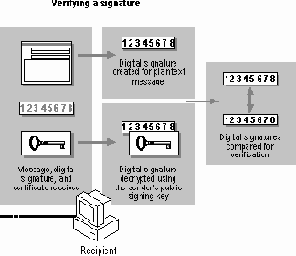Цифровая подпись и шифрование сообщений